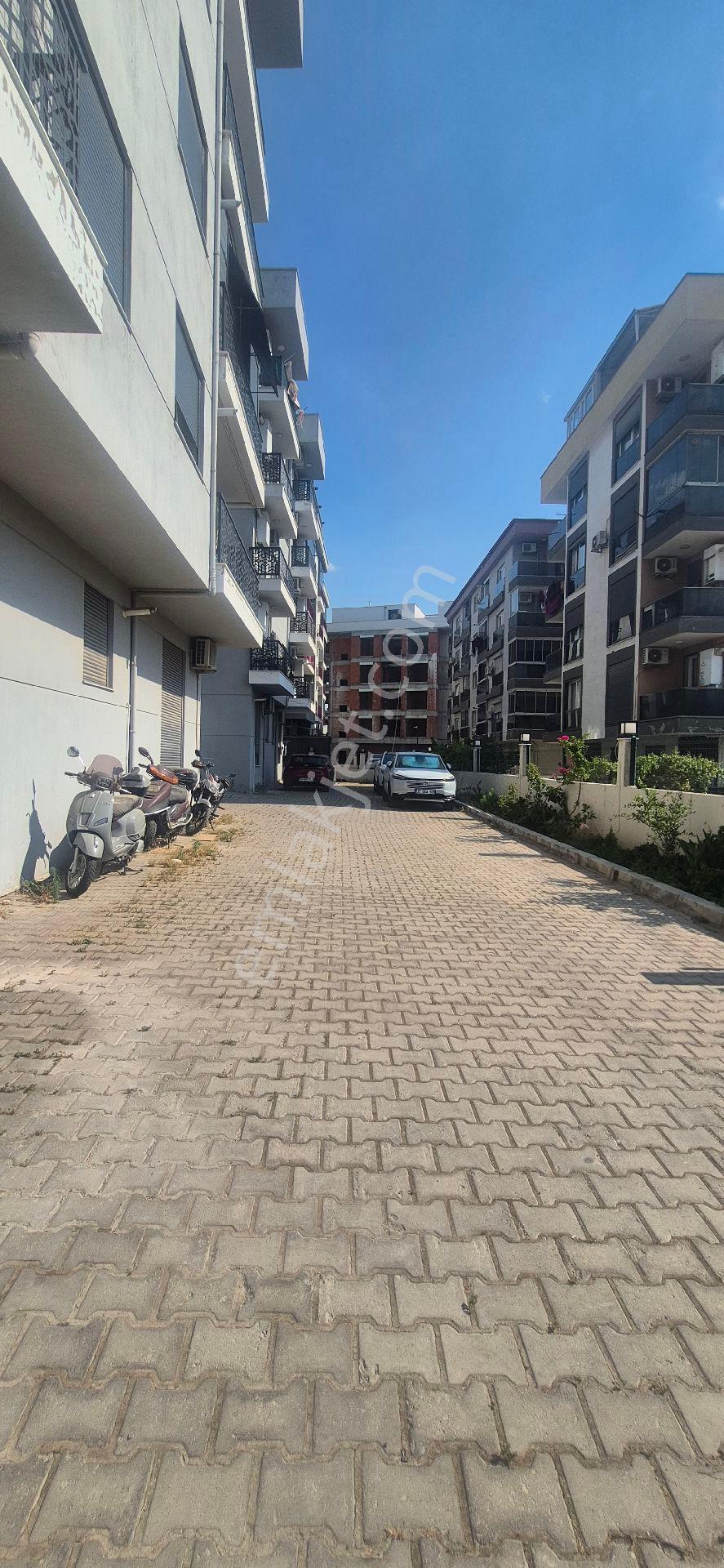 Bornova Doğanlar Da 1+1 Kiralık Daire - Görsel 5