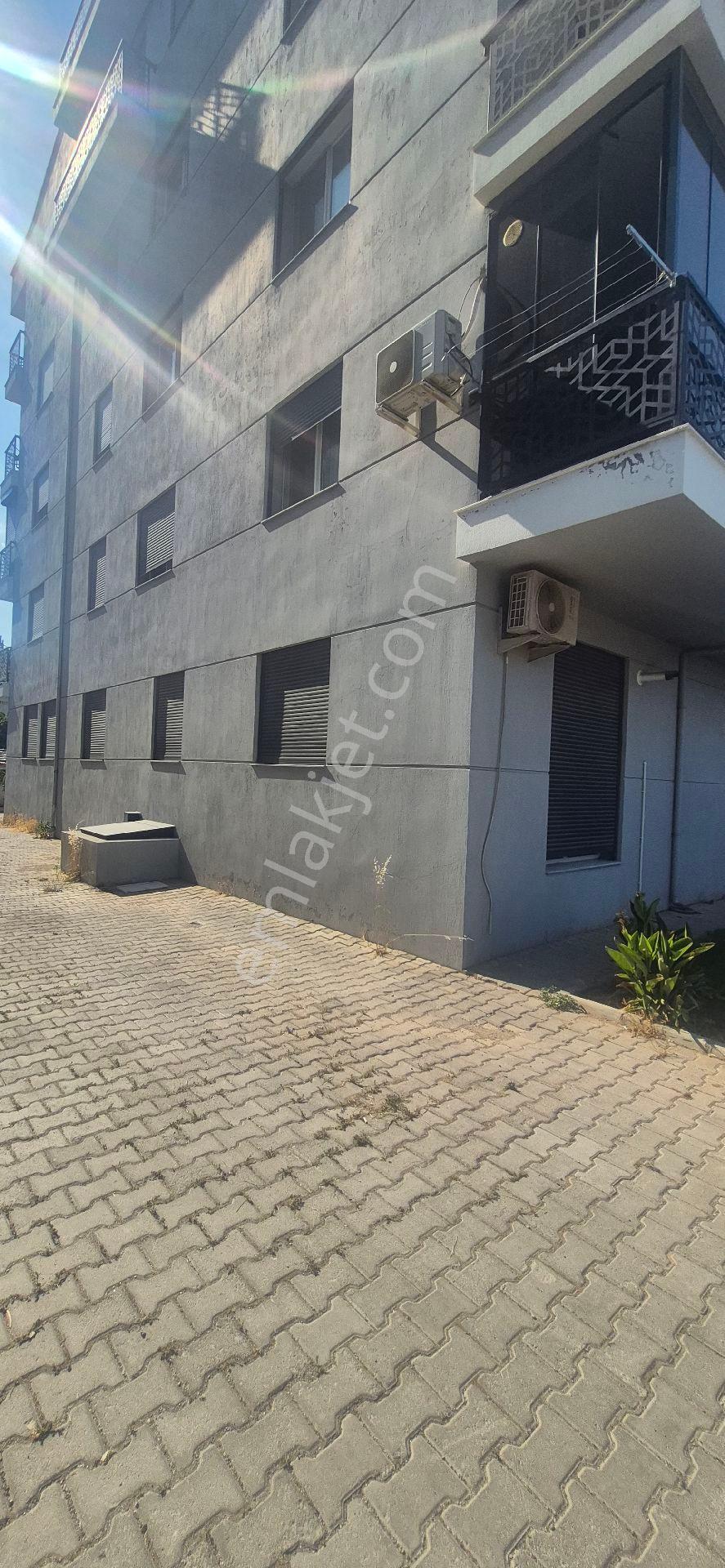 Bornova Doğanlar Da 1+1 Kiralık Daire - Görsel 2