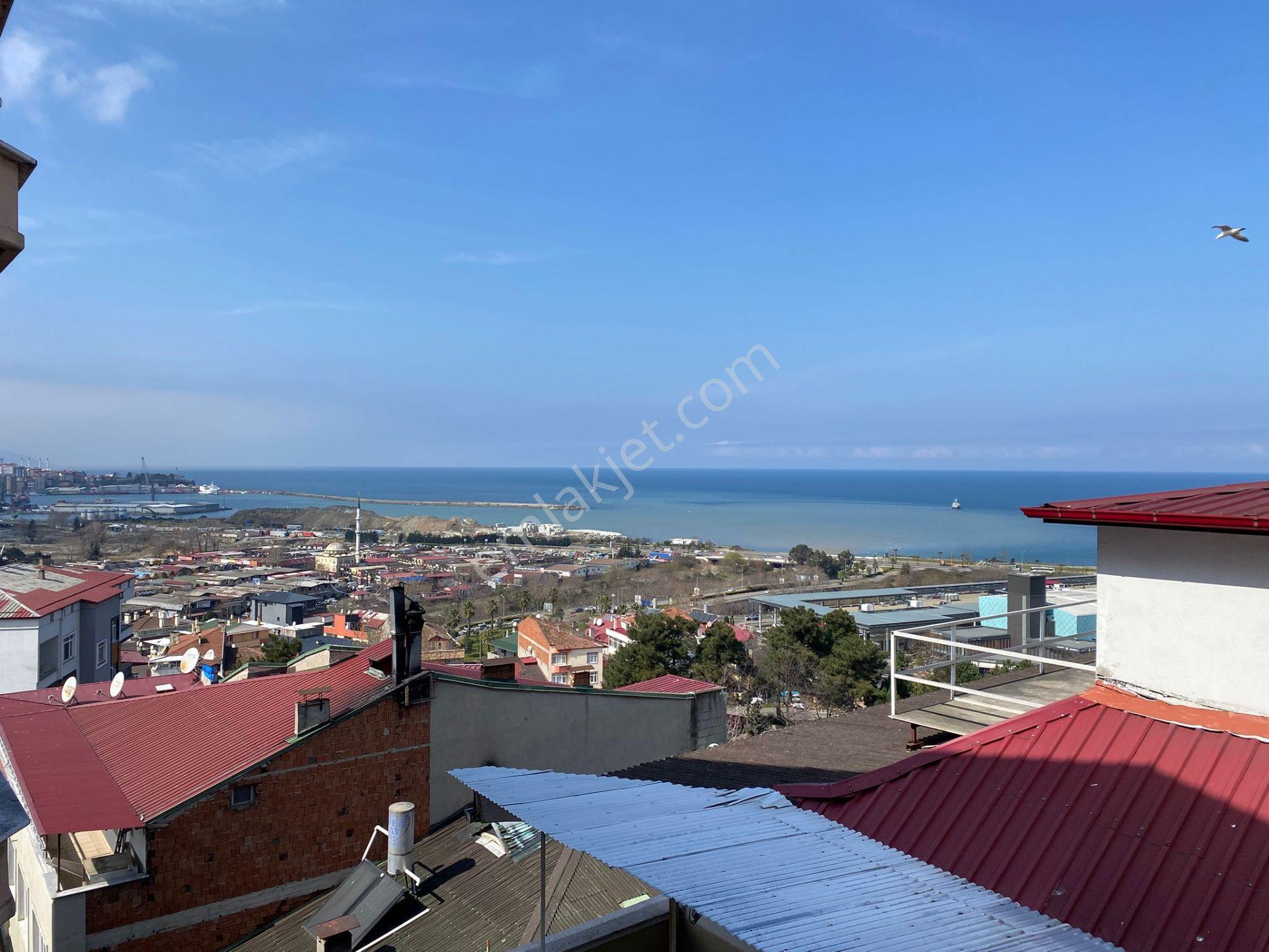 Yalı Gayrimenkulden Tüm Faturalar Dahil Erkek 1+1 Eşyalı Daire - Görsel 8