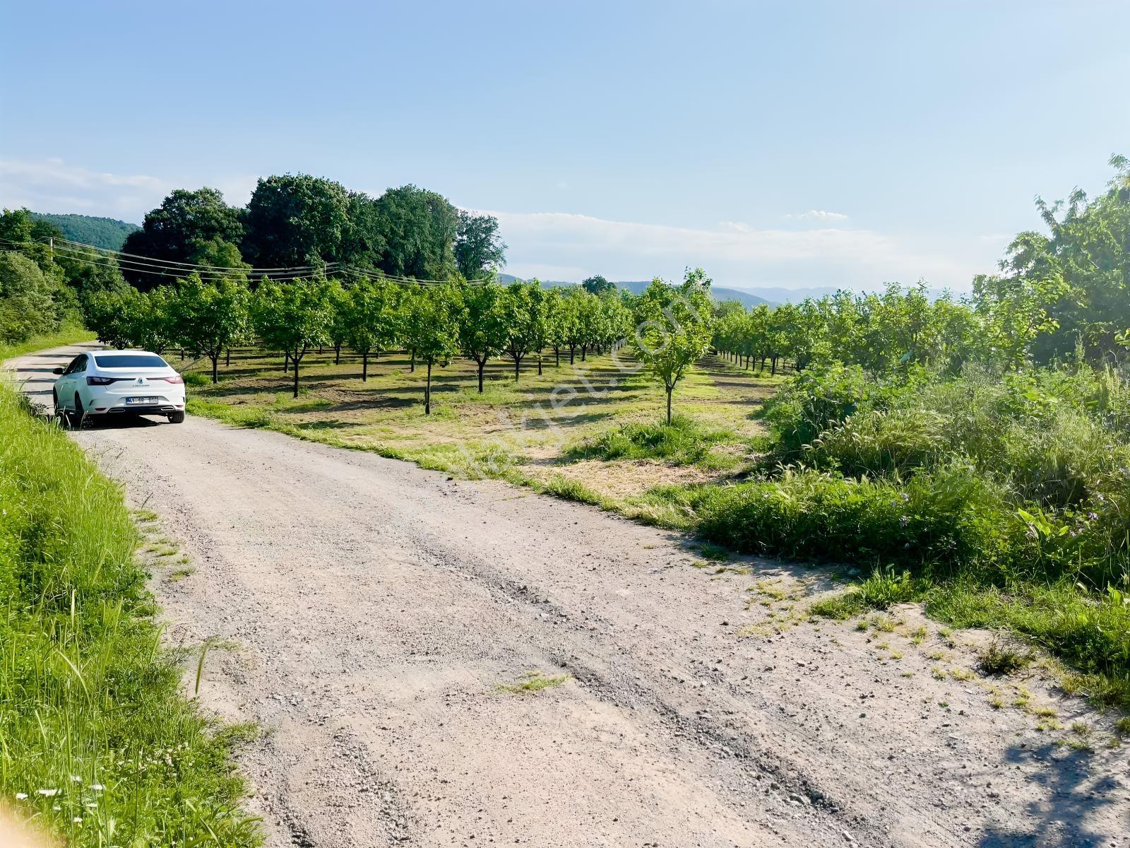 Karamürsel Akçat Satılık 28.043 M2 Tarla - Görsel 15