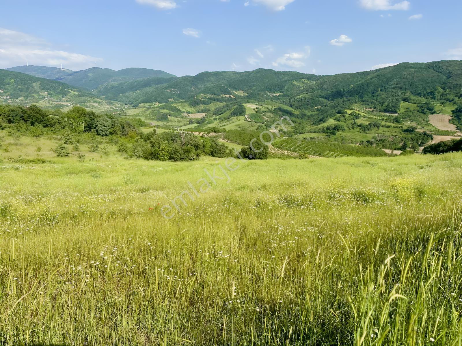 Karamürsel Akçat Satılık 28.043 M2 Tarla - Görsel 23