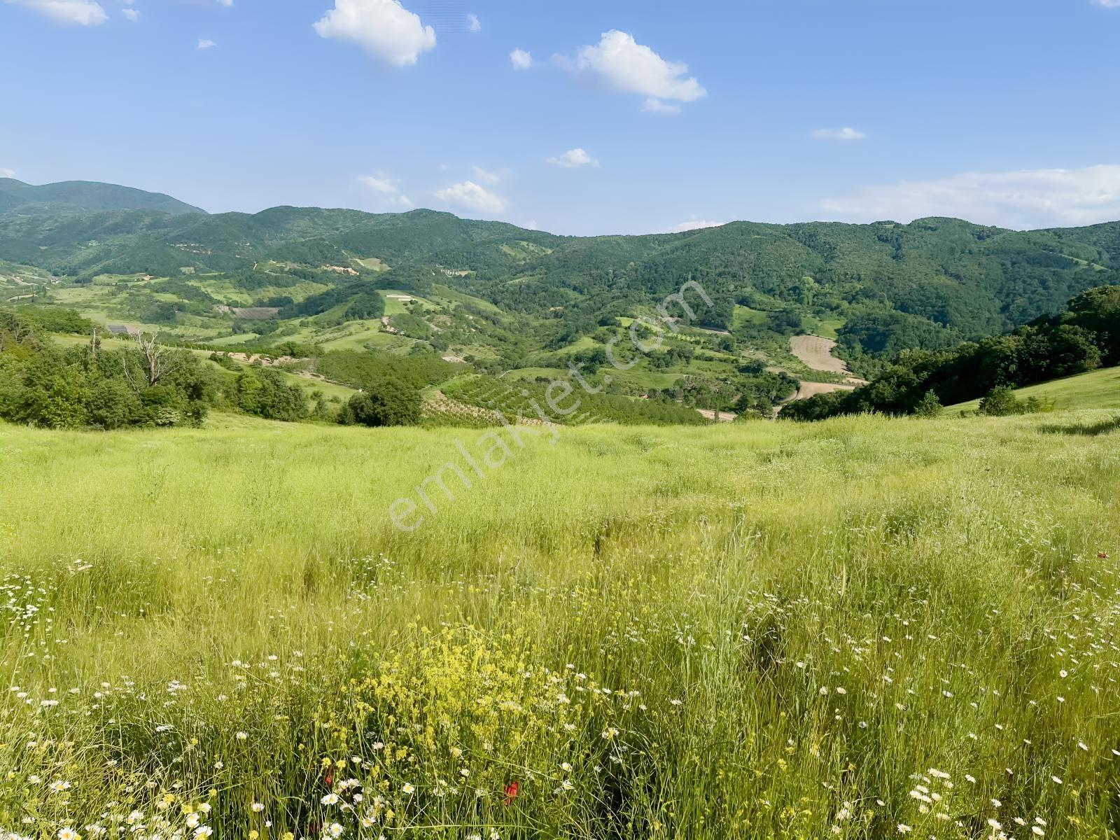 Karamürsel Akçat Satılık 28.043 M2 Tarla - Görsel 26