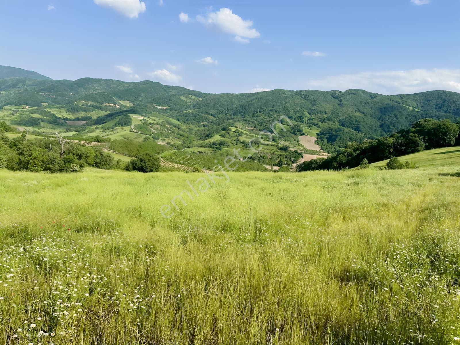 Karamürsel Akçat Satılık 28.043 M2 Tarla - Görsel 28