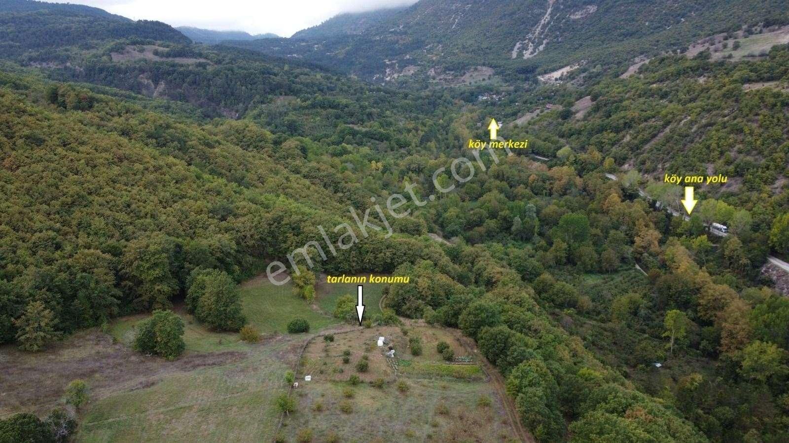 Bolu Mudurnu Dereköy Mevkiinde Satılık Tarla - Görsel 10