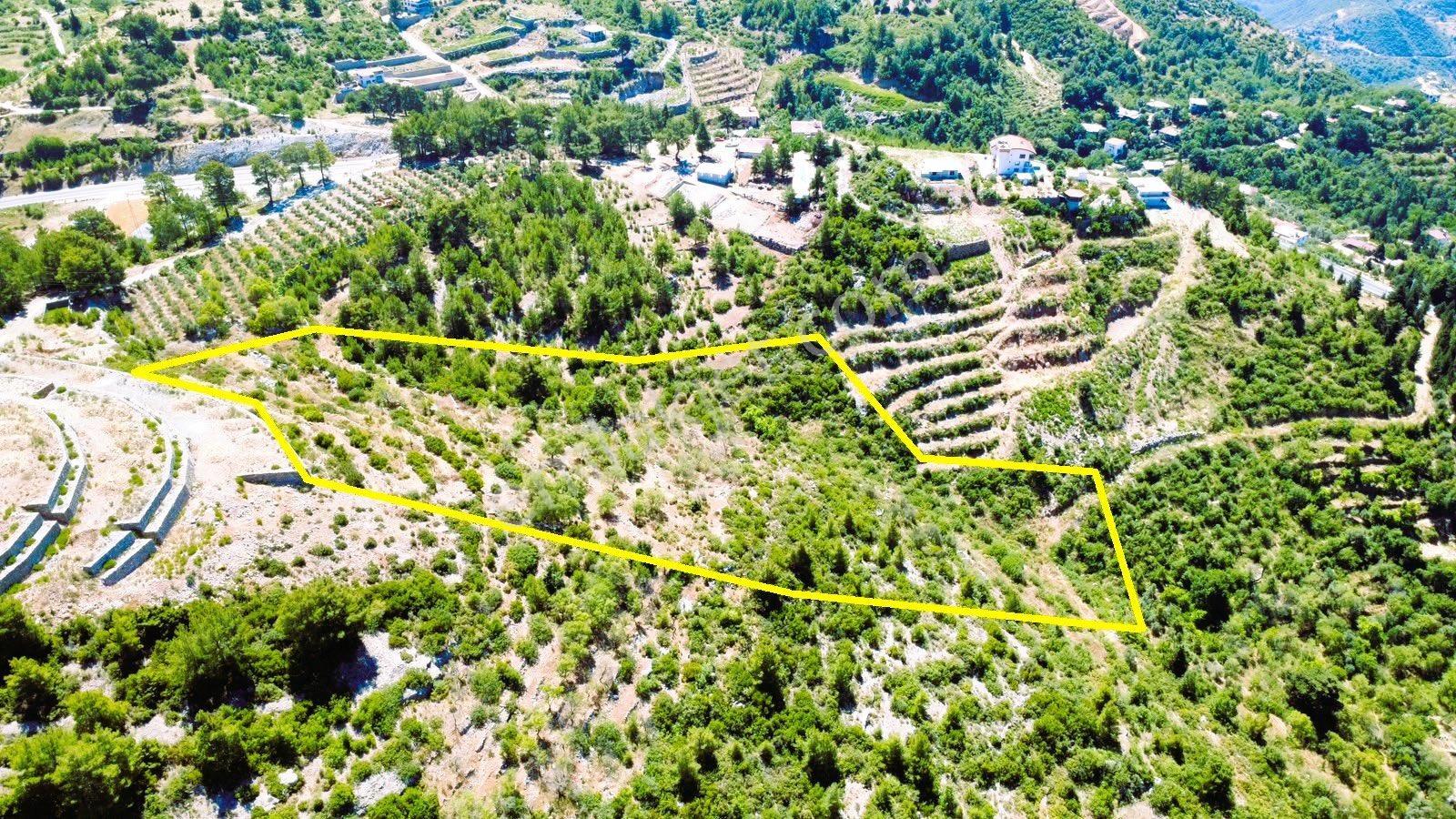 Alanya Gözübüyükte Satılık 15.000 M2 Arazi - Görsel 12