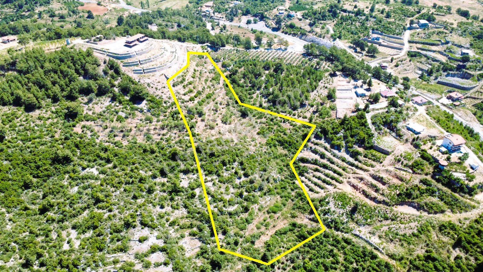 Alanya Gözübüyükte Satılık 15.000 M2 Arazi - Görsel 6