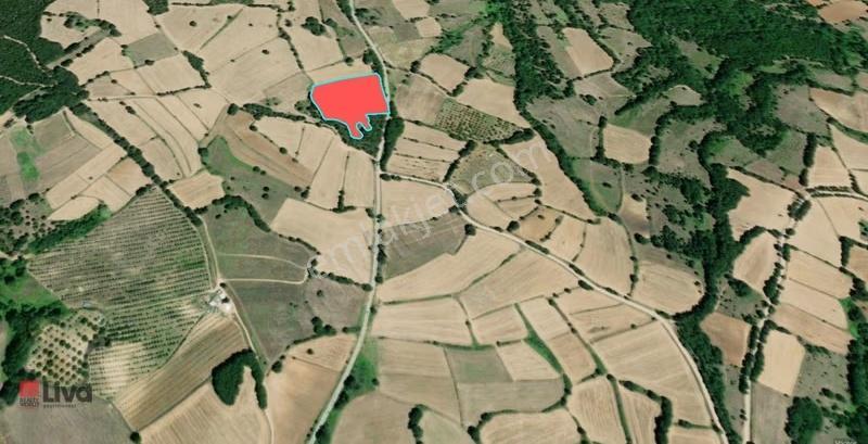 Toybelen'de 14.350 M² Asfalt Yol Cepheli Satılık Tarla! - Görsel 7