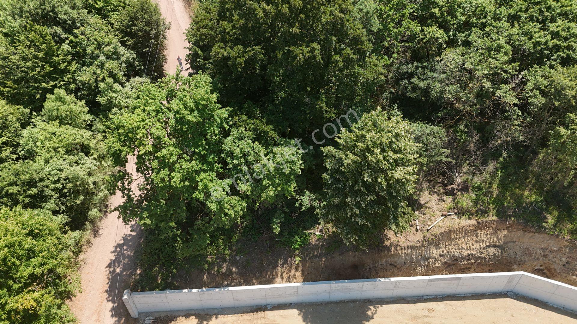 Çiftlikköy Gacık'ta Deniz Manzaralı Bahçe - Görsel 7