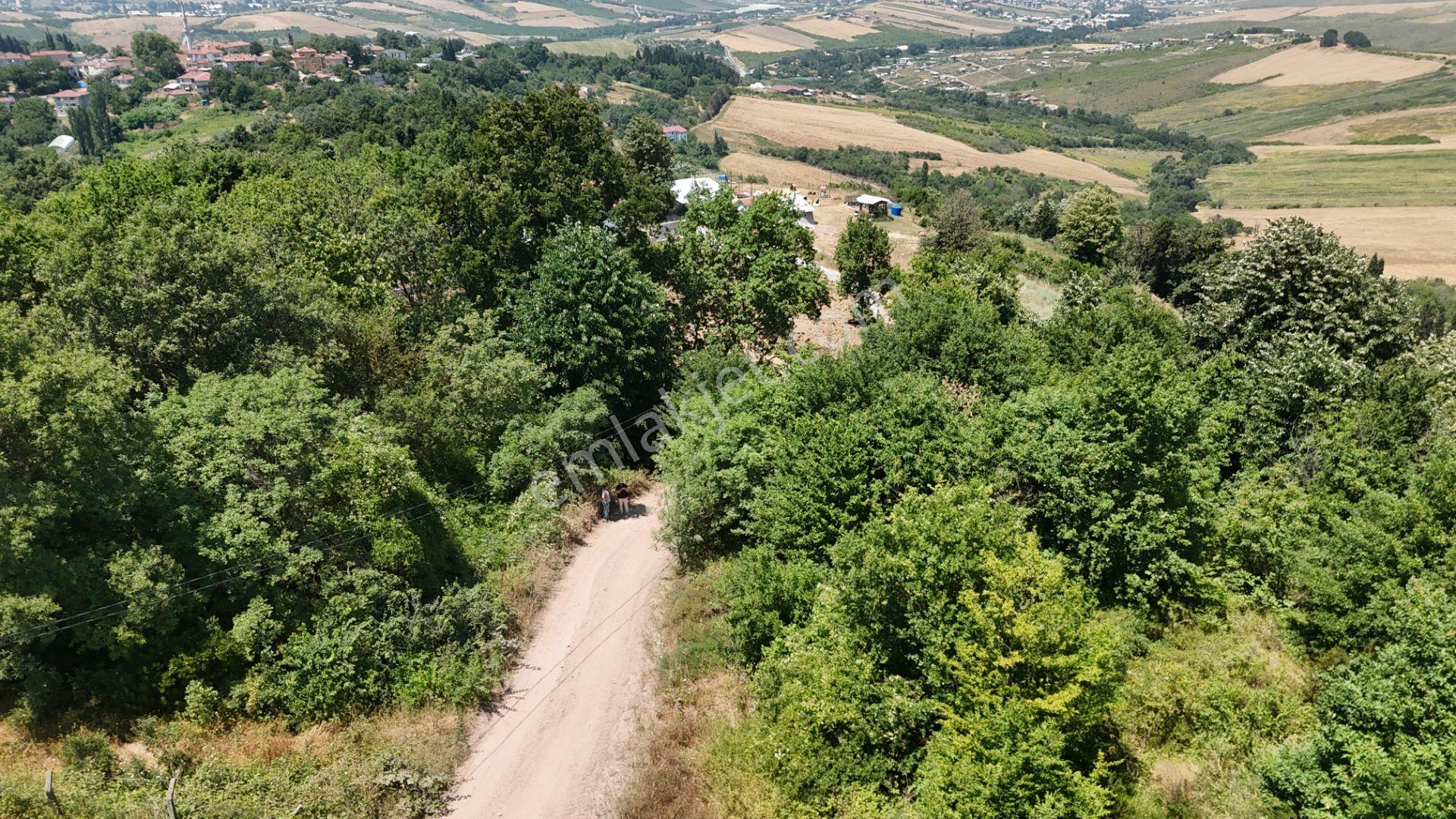Çiftlikköy Gacık'ta Deniz Manzaralı Bahçe - Görsel 9