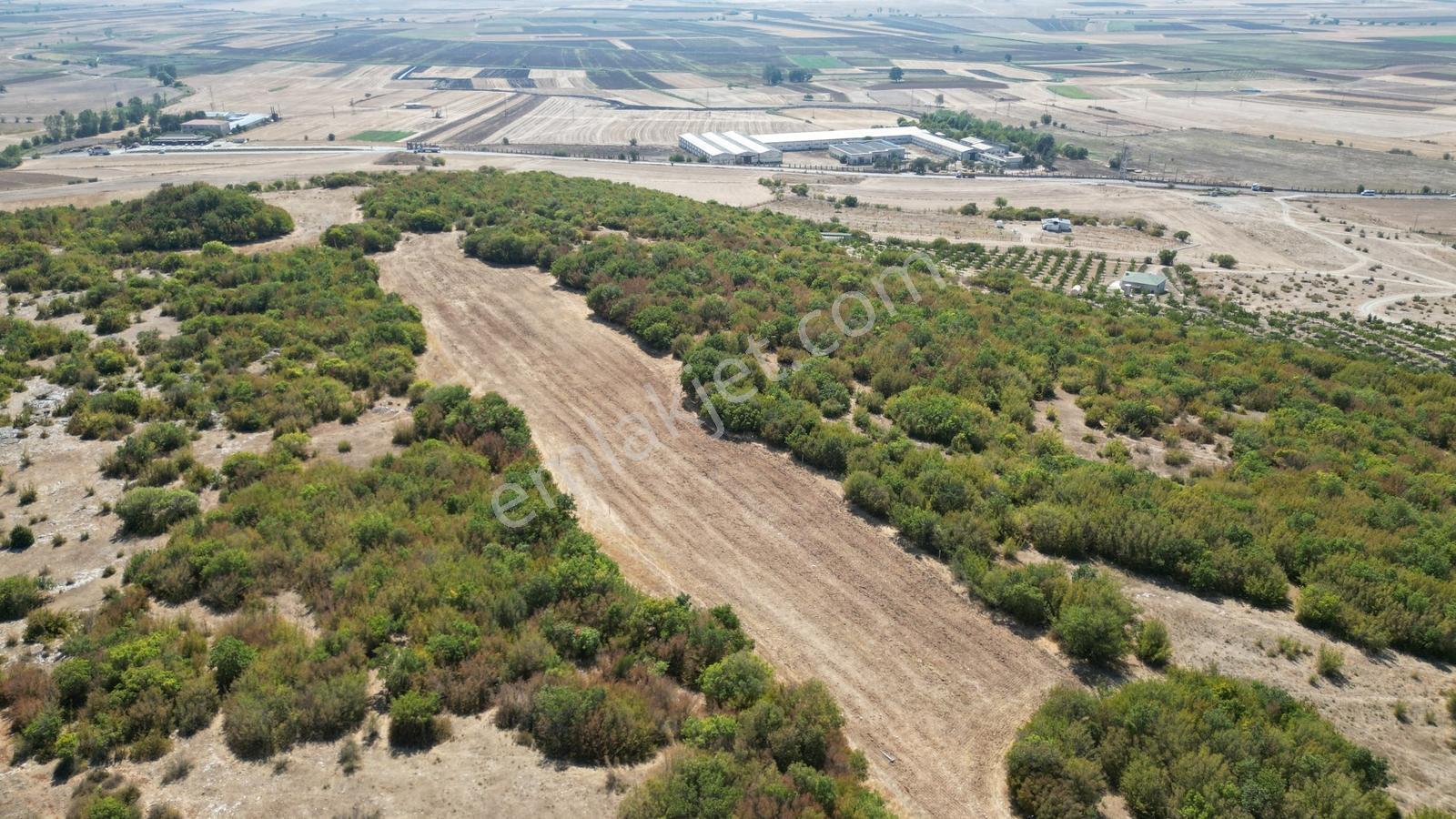 Kırklareli Vize Okçular 437 M2 Tarladan Hisseler - Görsel 5