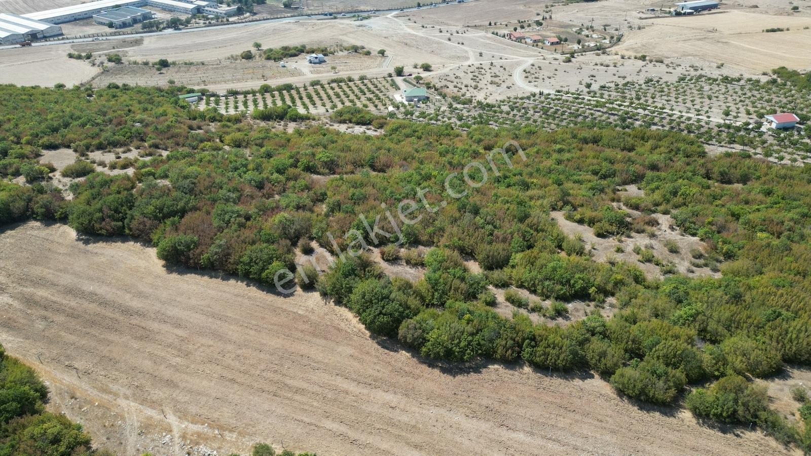 Kırklareli Vize Okçular 437 M2 Tarladan Hisseler - Görsel 12