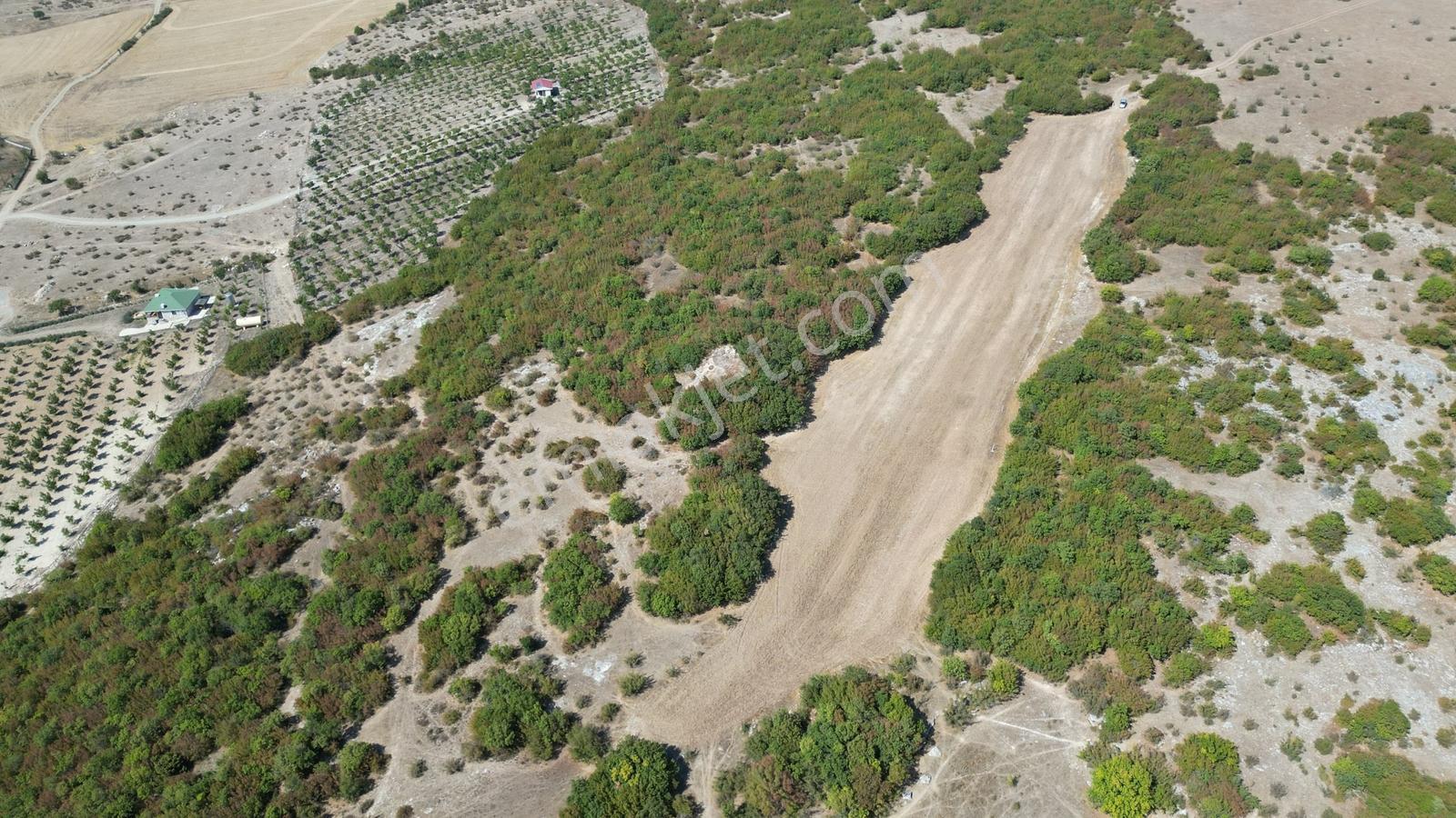 Kırklareli Vize Okçular 437 M2 Tarladan Hisseler - Görsel 13