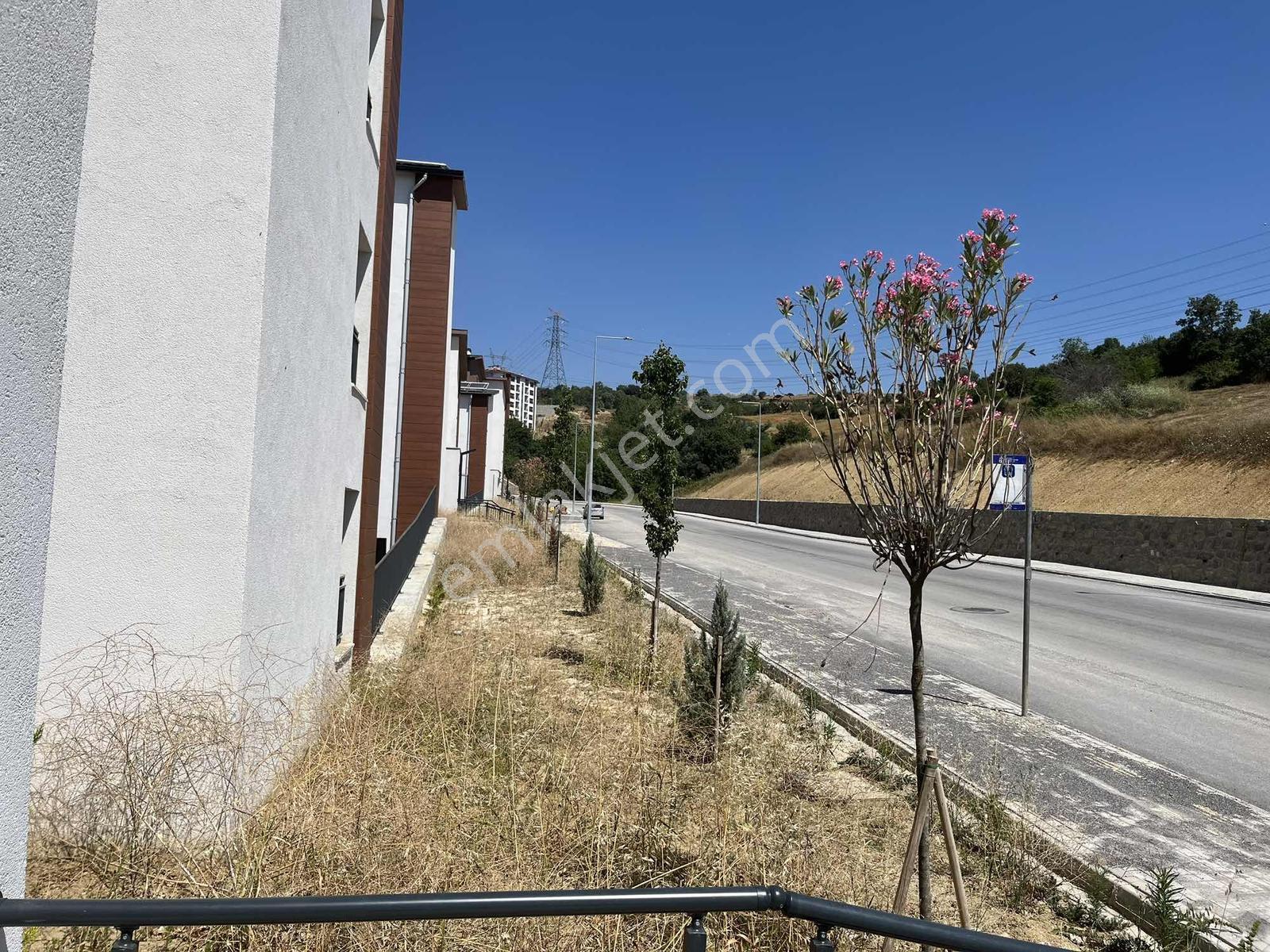 Sekbanlı Sepetçi Toki Konutların Da Sıfır Kiralık Daire - Görsel 8