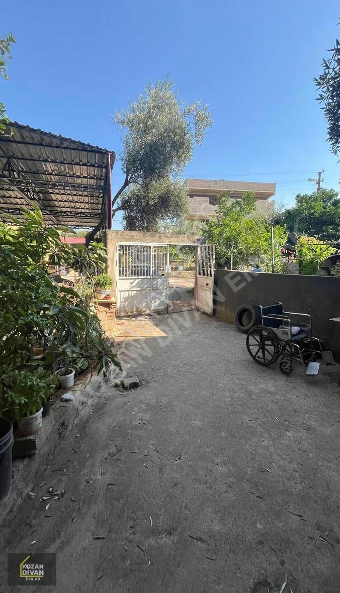 Kozan Divan Emlak'tan Aslanpaşa'da Müstakil - Görsel 12
