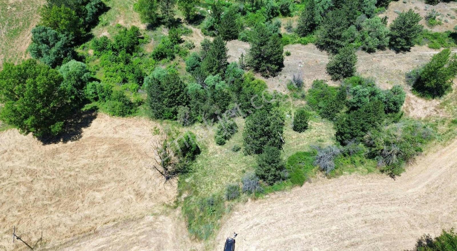 Göynük Karaardıç Köyünde 1388 M2 Satılık Arazi - Görsel 5