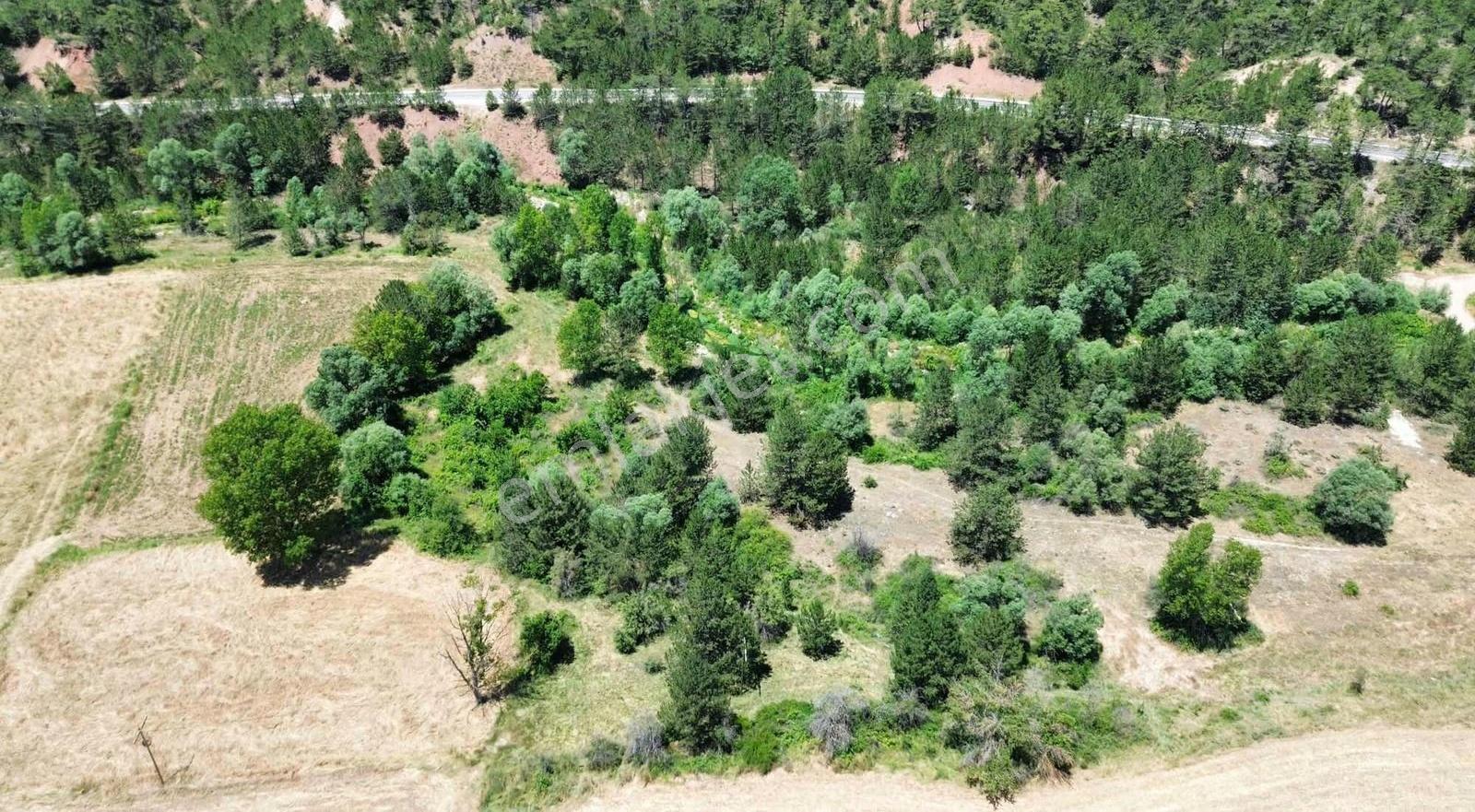 Göynük Karaardıç Köyünde 1388 M2 Satılık Arazi - Görsel 2