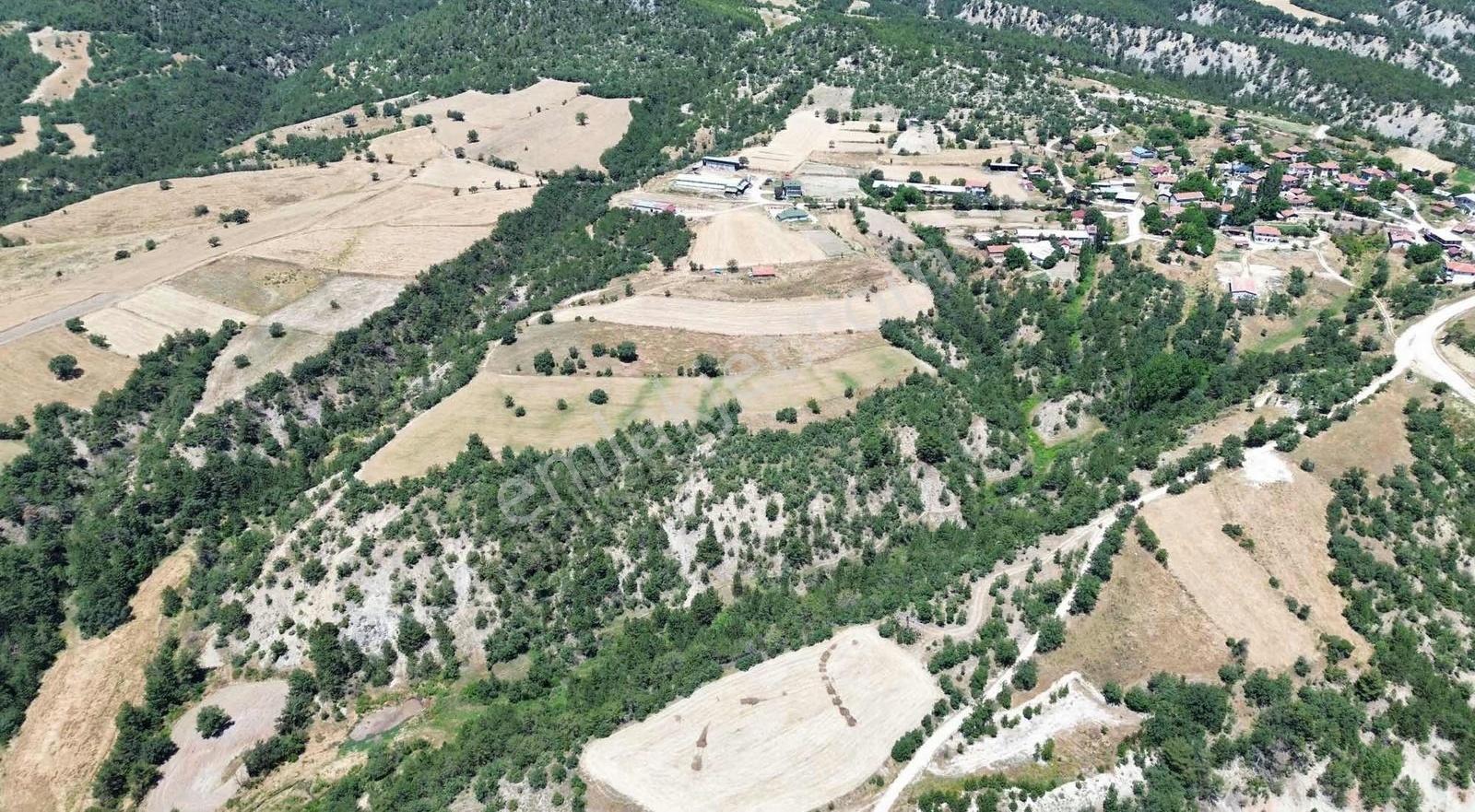 Göynük Karardıç Köyünde 753 M2 Satılık Arazi - Görsel 2