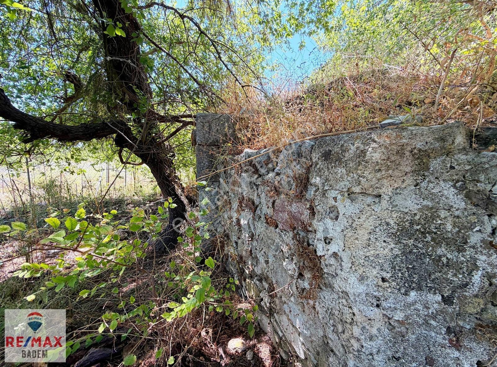 Dalyan Kaunos Kral Mezarlıkları Altında 5.212m2 Satılık Tarla - Görsel 17