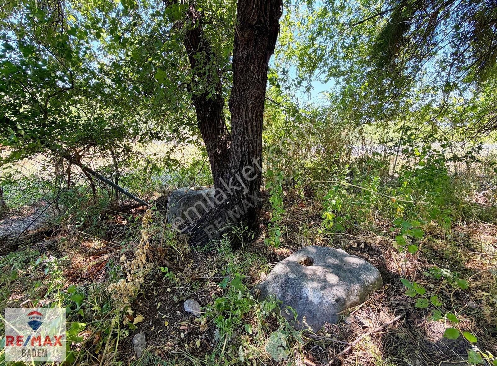 Dalyan Kaunos Kral Mezarlıkları Altında 5.212m2 Satılık Tarla - Görsel 24