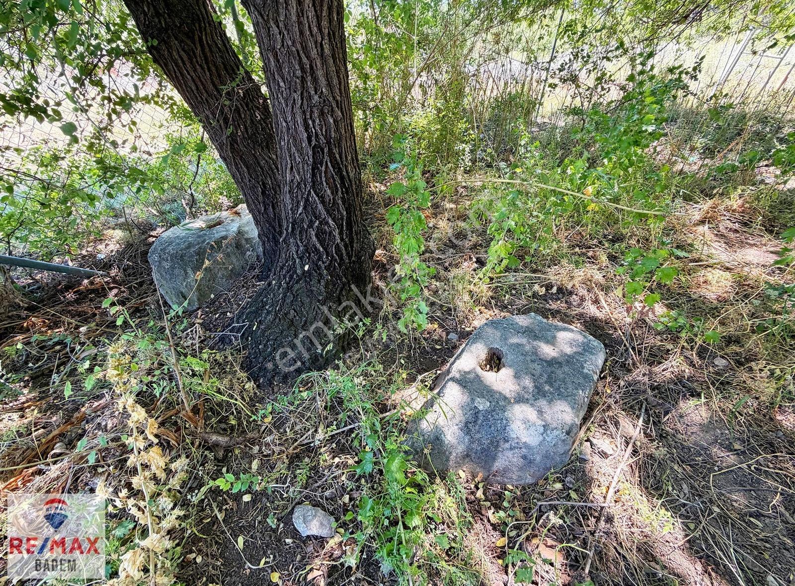 Dalyan Kaunos Kral Mezarlıkları Altında 5.212m2 Satılık Tarla - Görsel 26