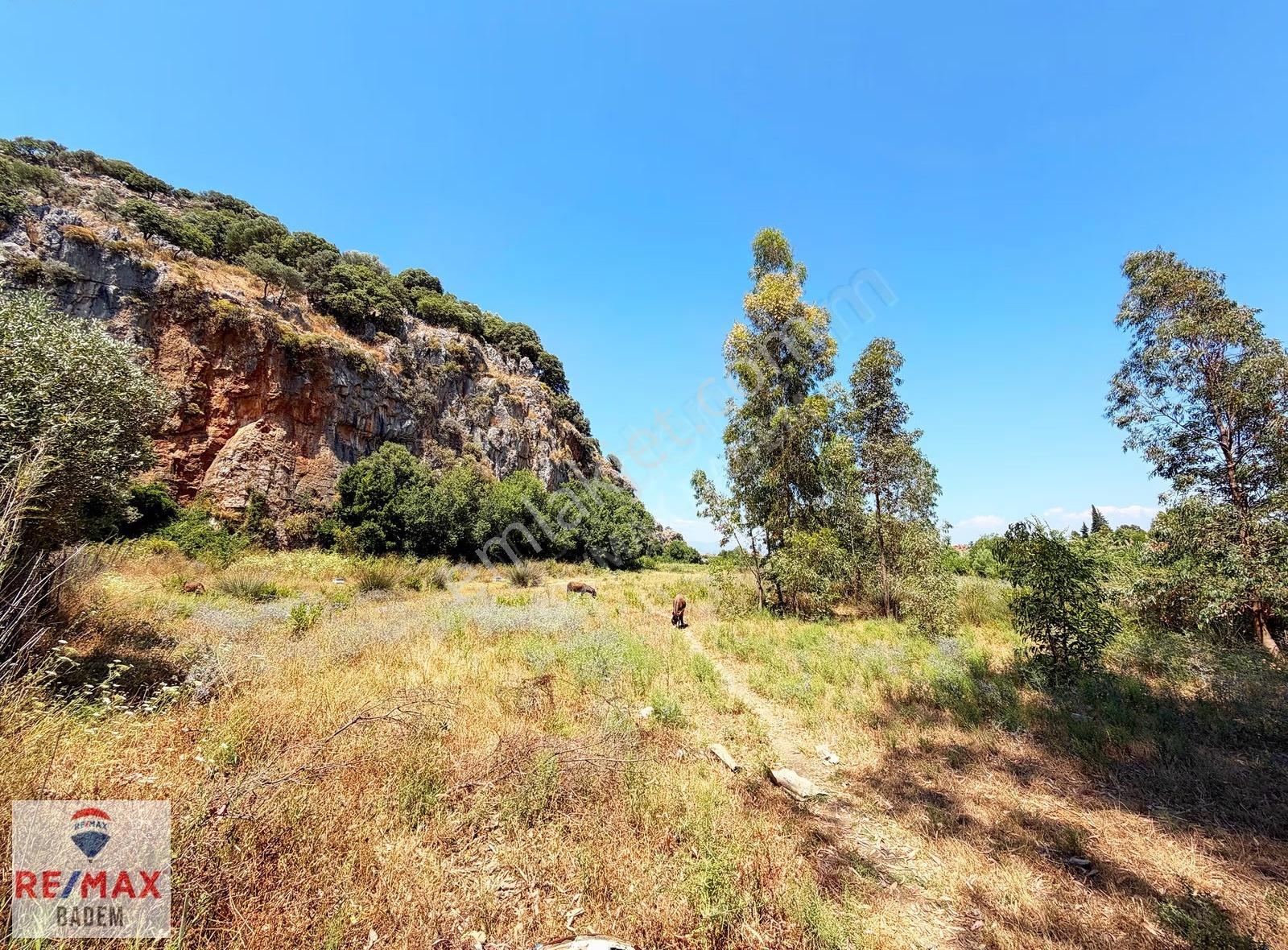 Dalyan Kaunos Kral Mezarlıkları Altında 5.212m2 Satılık Tarla - Görsel 7