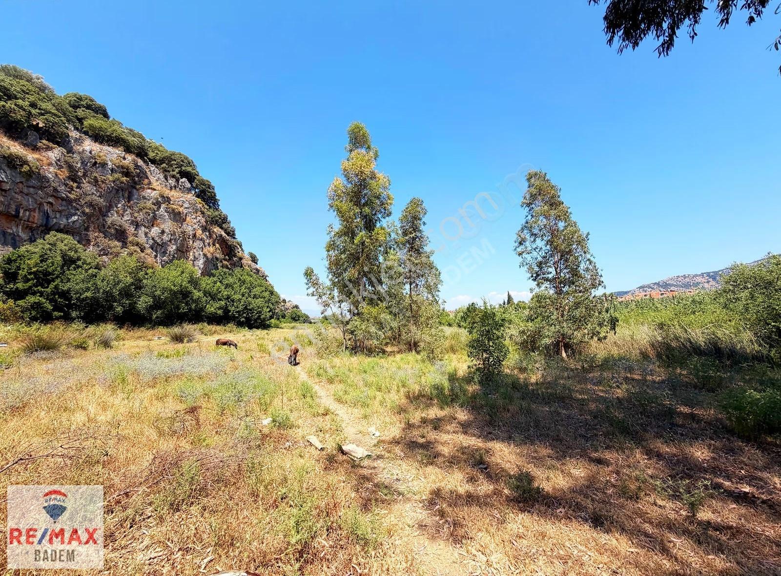 Dalyan Kaunos Kral Mezarlıkları Altında 5.212m2 Satılık Tarla - Görsel 29