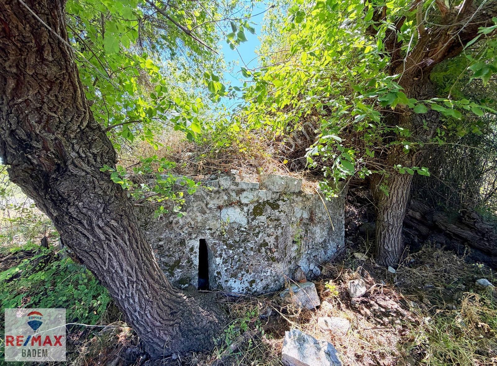Dalyan Kaunos Kral Mezarlıkları Altında 5.212m2 Satılık Tarla - Görsel 6
