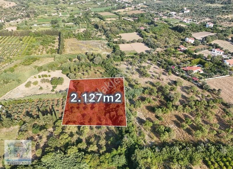 Marinden Datça Merkeze Ve Yerleşime Yakın 2.127m2 Tarla - Görsel 2