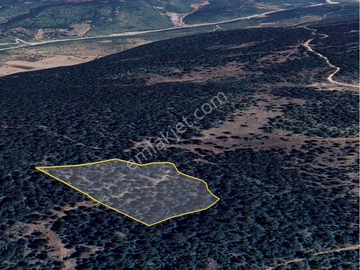 Gölpazarı Göldağı Mahallesinde Satılık 8.900 M2 Müstakil Tarla - Görsel 3