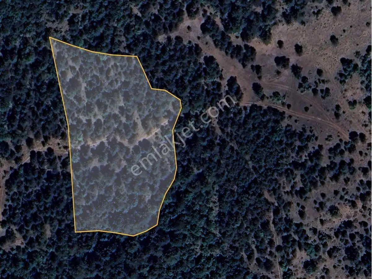 Gölpazarı Göldağı Mahallesinde Satılık 8.900 M2 Müstakil Tarla