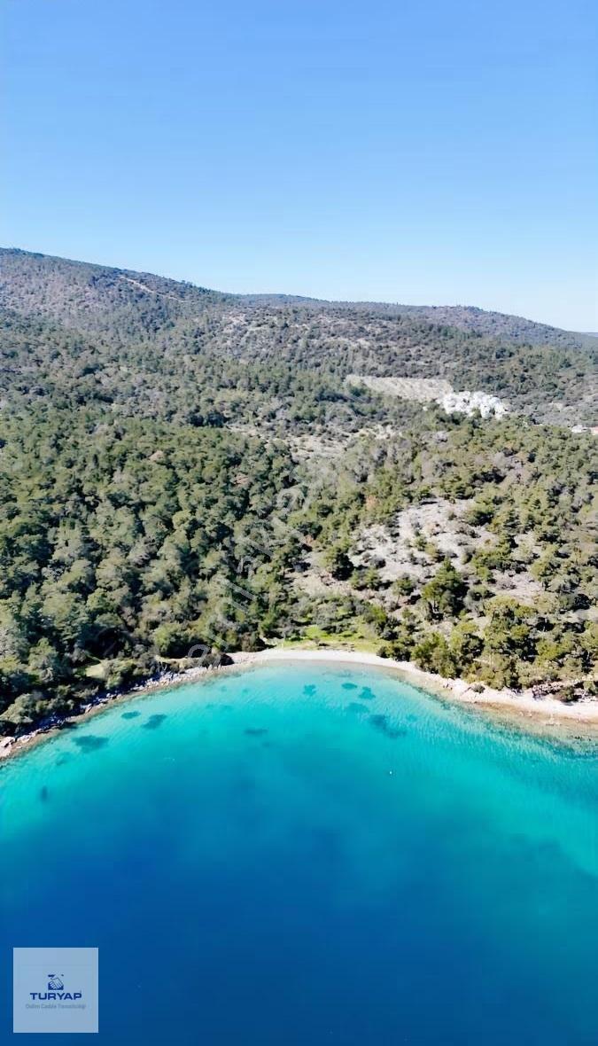Muğla Milas Kazıklı 8 Dönüm Satılık Tarla - Görsel 7