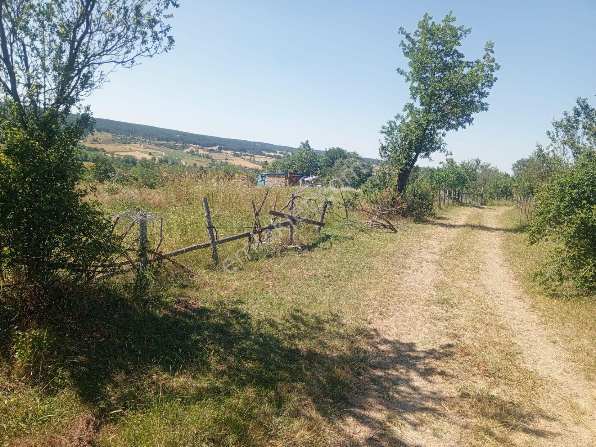 Kastamonuya 13 Km Uzaklıkta Köy Yerleşik Alanında Meyve Ağaçlı - Görsel 18