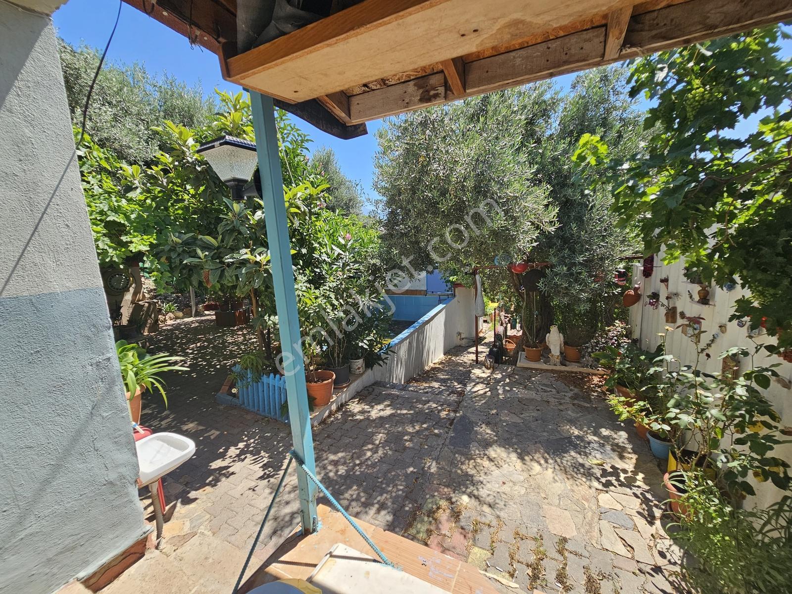 Dağkızılca Köyün De Mirastan Bölme 1500m2 Satılık 2 Katllı Bina - Görsel 30