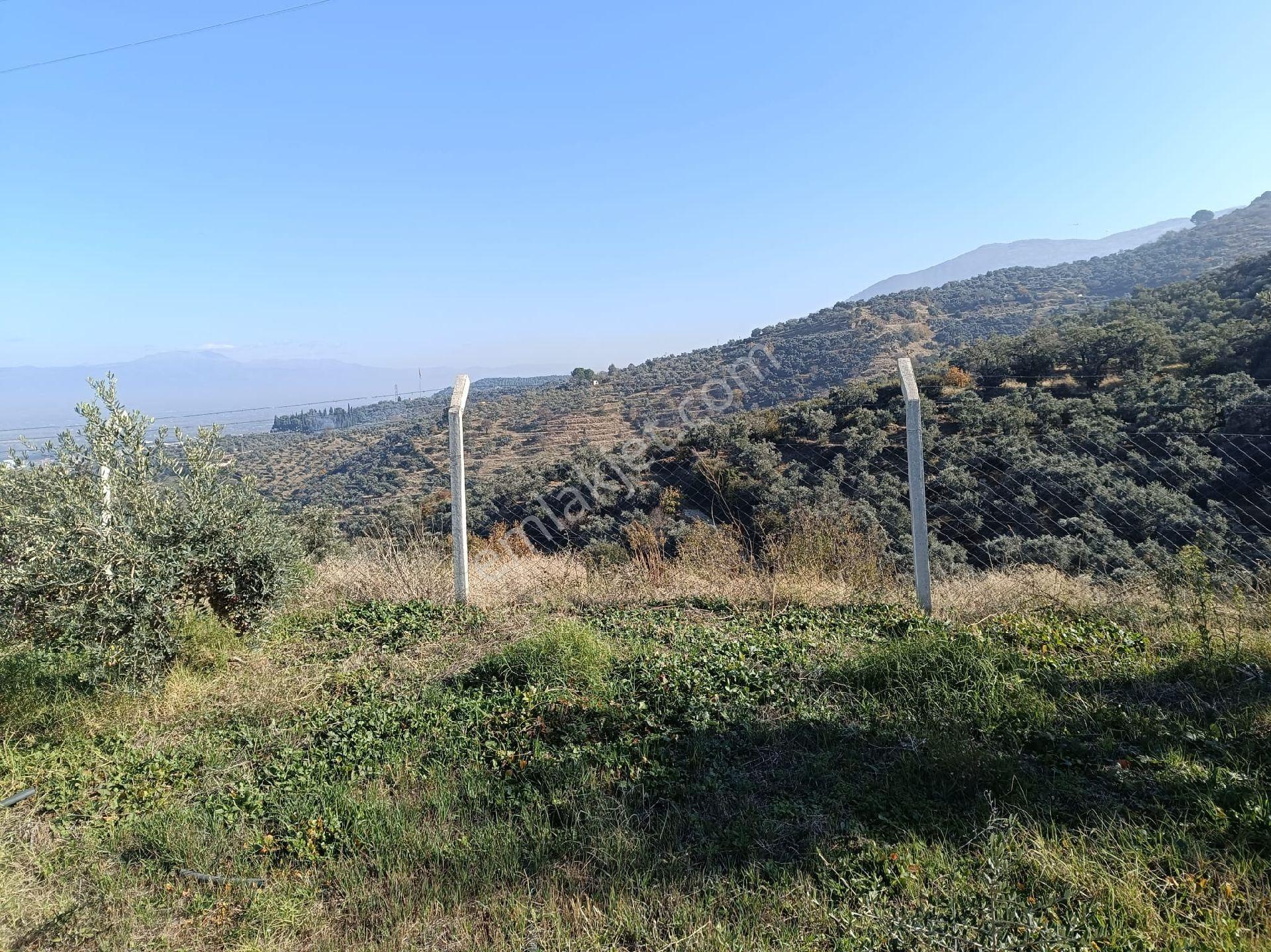 Uygun Fiyat Fırsat Arazi - Görsel 8