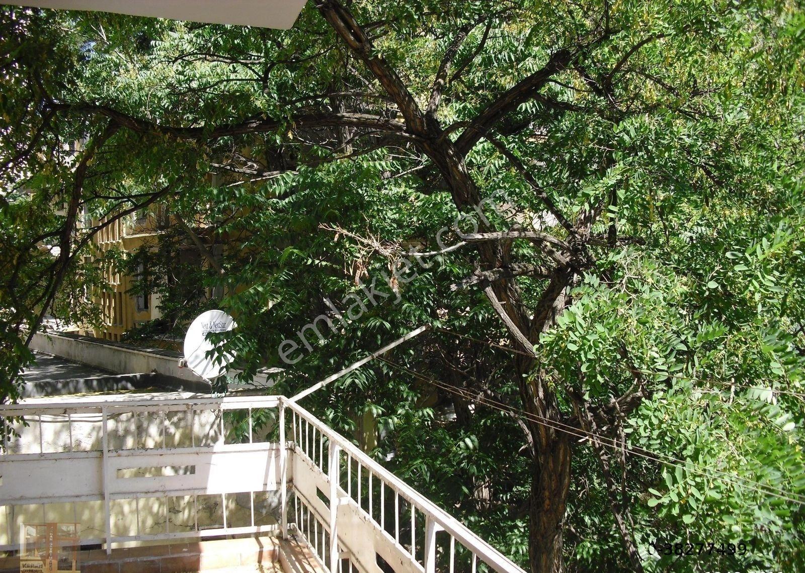 Kavaklıdere Büklüm Sokak'da 2+1 Kiralık Daire - Görsel 4