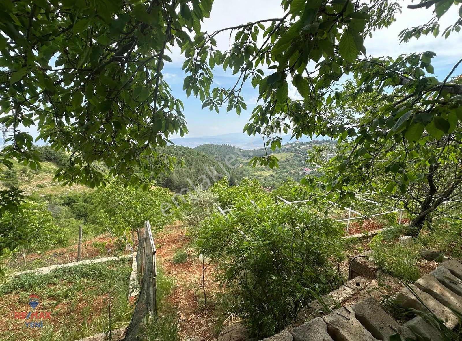 Remax Yeni'den Kuzey Çevre Yolu Üstünde Satılık Bağ & Bağ Evi - Görsel 3