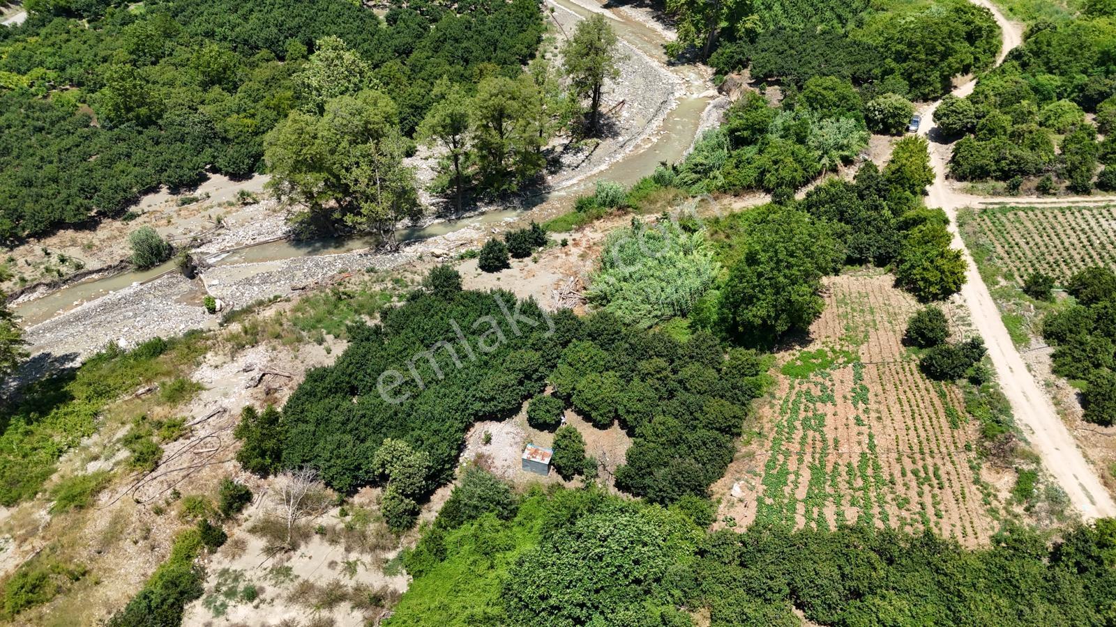 Takanlı'da Satılık 555 M² Tek Tapulu Cennet Meyvesi Bahçesi - Görsel 17
