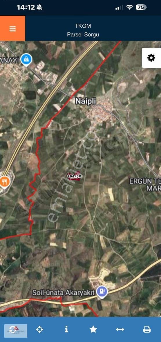 Gelişen Bölge Naiplide Yatırımlık Konumu Güzel 11.000 M2 Tarla - Görsel 7