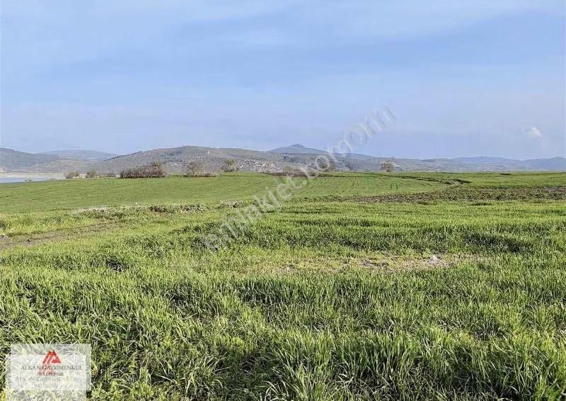 Gelişen Bölge Naiplide Yatırımlık Konumu Güzel 11.000 M2 Tarla