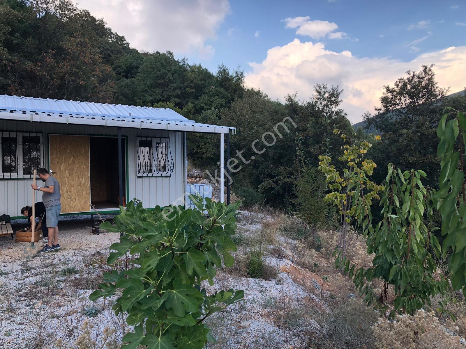 Yenişehir Yeni Köyde Tek Tapu 4550m2 Tarla