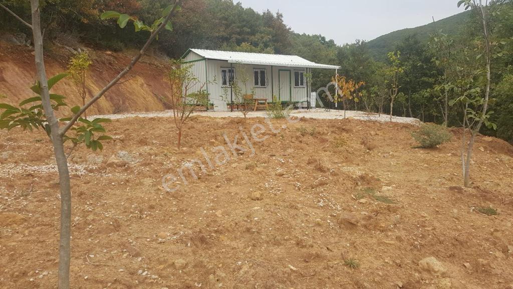Yenişehir Yeni Köyde Tek Tapu 4550m2 Tarla - Görsel 3