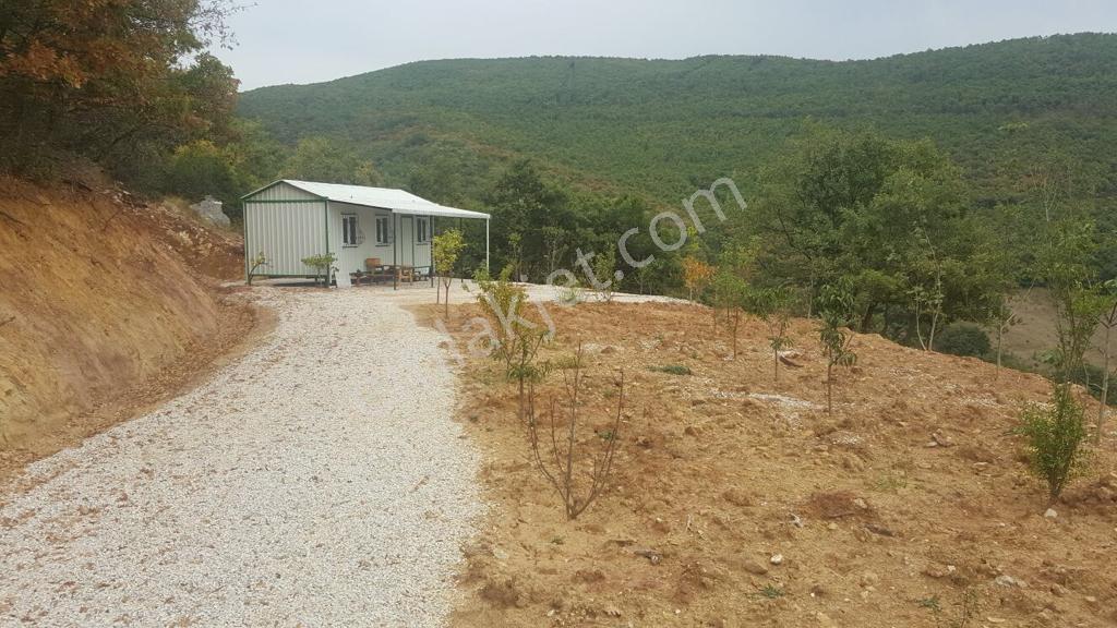 Yenişehir Yeni Köyde Tek Tapu 4550m2 Tarla - Görsel 7