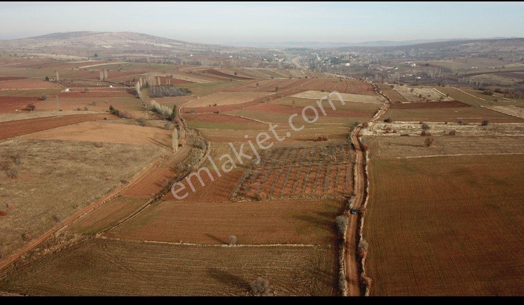 Derbent Çiftliközü'nde Bahceye Uygun 5600 M2 Tarla - Görsel 4
