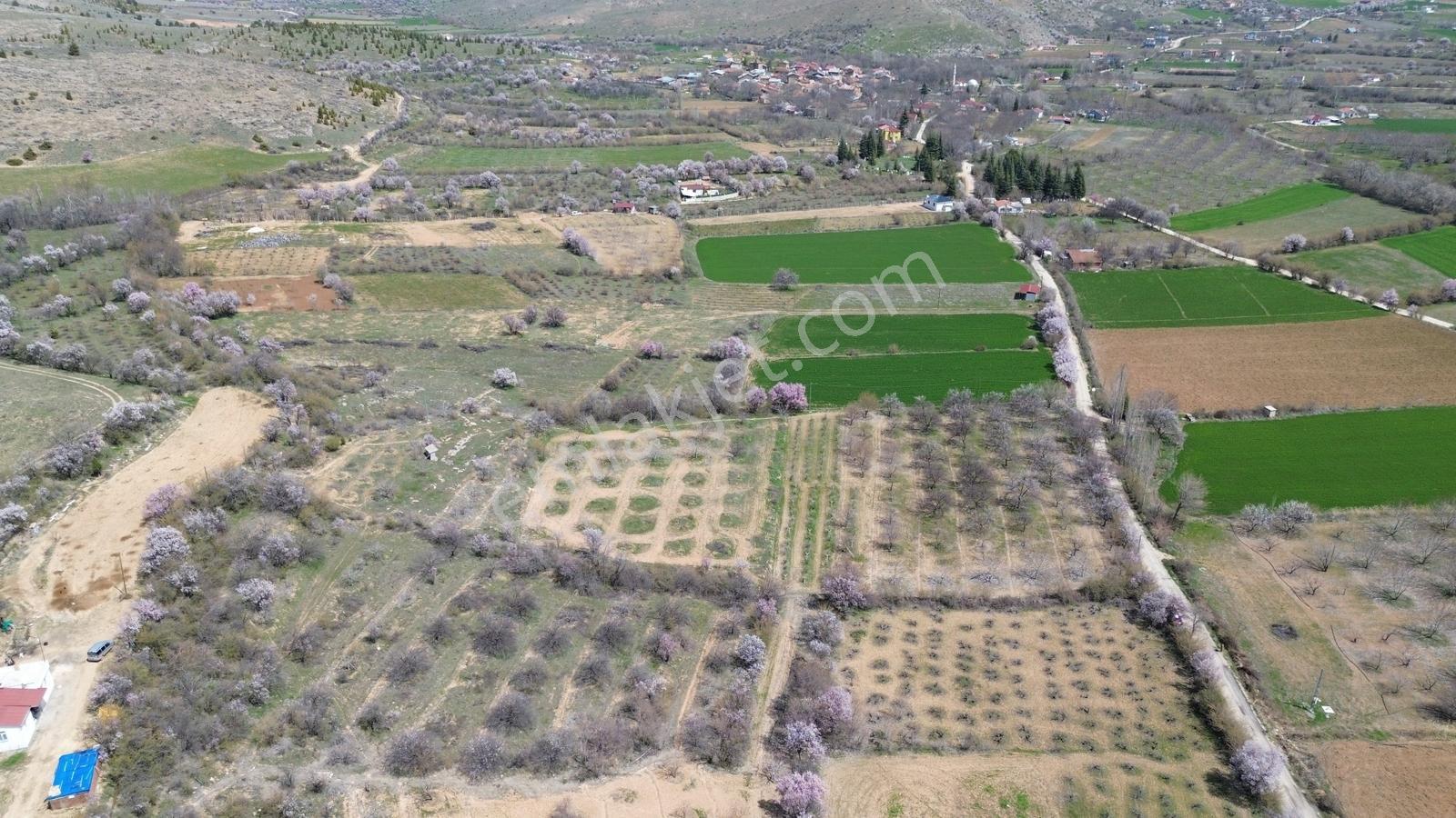 Adil Emlak'tan Seli' De Hazır Kurulu 7.621 M2 Tarla - Görsel 15