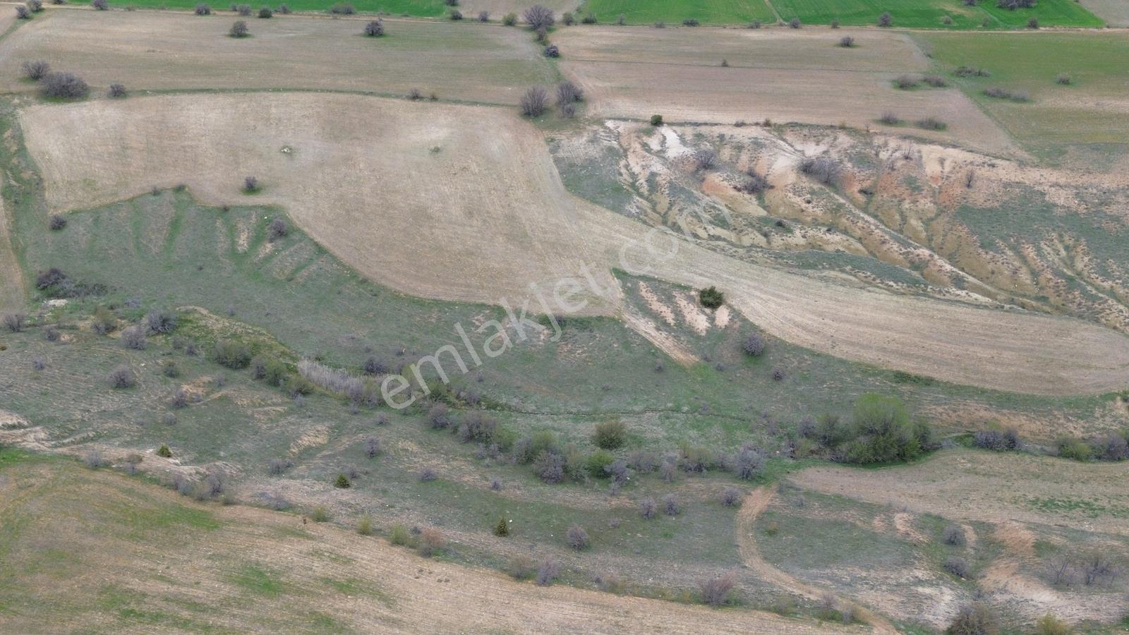 (adil Emlak) Yazıpınarı'nda Uygun Fiyata Satılık 20.428 M2 Tarla - Görsel 19