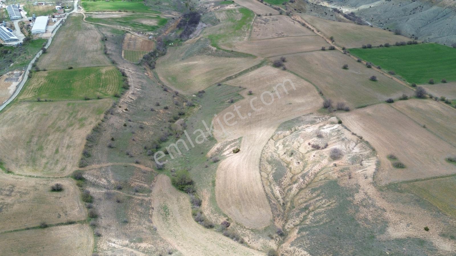 (adil Emlak) Yazıpınarı'nda Uygun Fiyata Satılık 20.428 M2 Tarla - Görsel 16