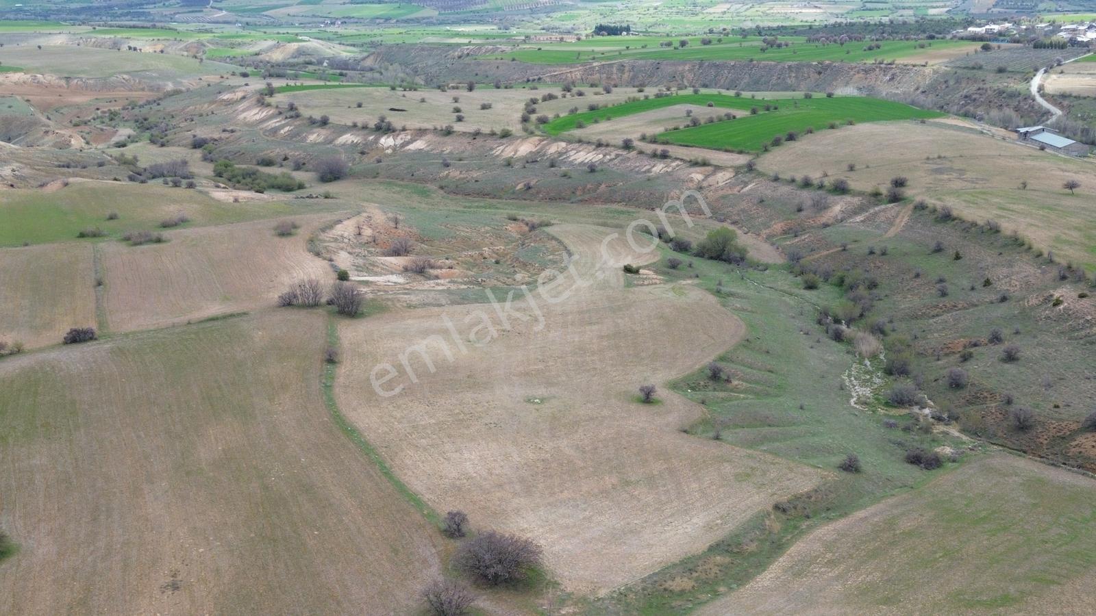 (adil Emlak) Yazıpınarı'nda Uygun Fiyata Satılık 20.428 M2 Tarla - Görsel 8