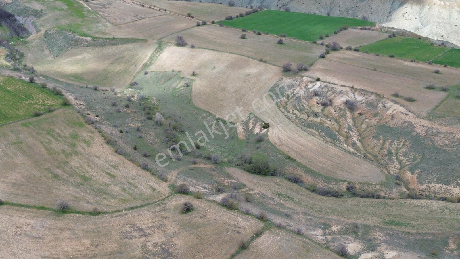 (adil Emlak) Yazıpınarı'nda Uygun Fiyata Satılık 20.428 M2 Tarla - Görsel 11