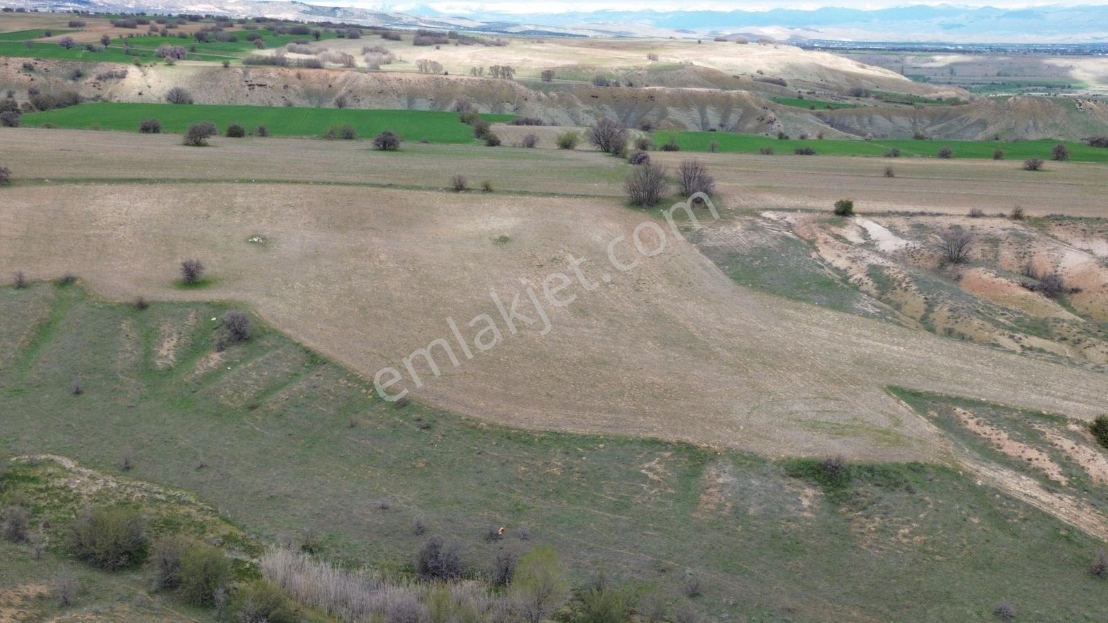 (adil Emlak) Yazıpınarı'nda Uygun Fiyata Satılık 20.428 M2 Tarla - Görsel 7