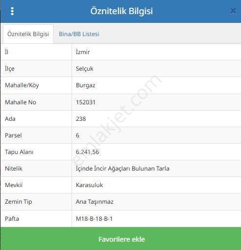 Kuşadası Gökçealan'da Müstakıl Tapulu 6.241 M² Satılık Tarla - Görsel 9